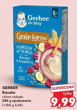 Kaufland GERBER Kaszka różne rodzaje oferta
