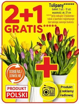 Polomarket Tulipany oferta