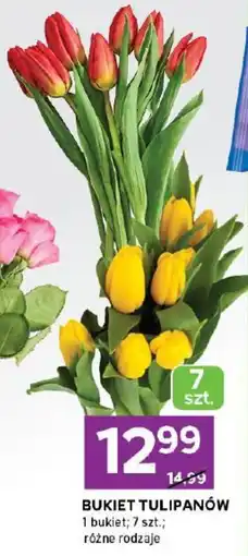 Stokrotka Bukiet tulipanów oferta