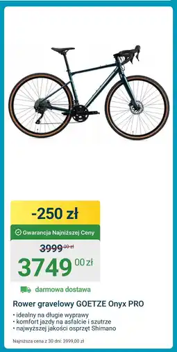 ERLI Rower Onyx oferta