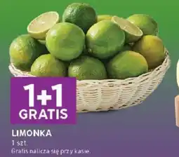 Stokrotka Limonka oferta