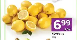 Stokrotka Cytryny oferta