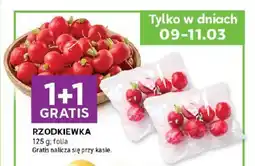 Stokrotka Rzodkiewka oferta