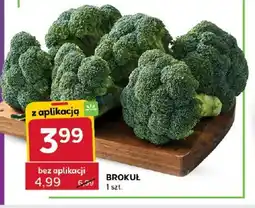 Stokrotka Brokuł oferta