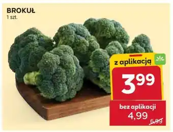 Stokrotka Market Brokuł oferta