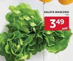 Stokrotka Market Sałata masłowa oferta