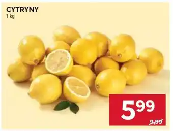 Stokrotka Market Cytryny oferta