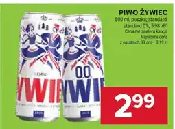 Stokrotka Market Piwo Żywiec oferta