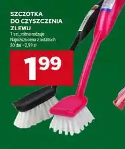 Stokrotka Market Szczotka do czyszczenia zlewu oferta