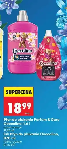 Biedronka Płyn do płukania Perfum & Care Coccolino, 1,6 l oferta
