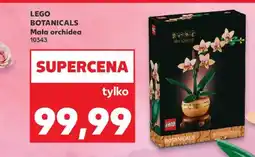 Kaufland LEGO BOTANICALS Mała orchidea 10343 oferta
