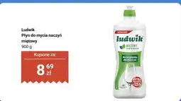 Biedronka Płyn do mycia naczyń miętowy oferta