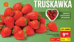 Biedronka Truskawki K! oferta