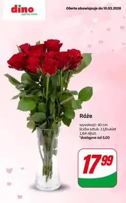 Dino Bukiet róż - 11 szt., 40 cm oferta