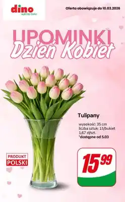 Dino Tulipany bukiet - 15 szt., 35 cm oferta