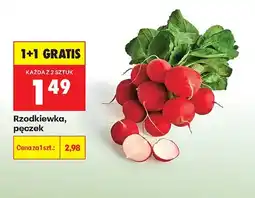 Biedronka Rzodkiewka oferta