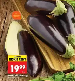 Biedronka Bakłażan oferta
