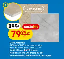 Castorama Gres Perła oferta