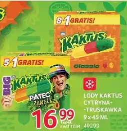 Selgros Lody Kaktus Cytryna-Truskawka oferta
