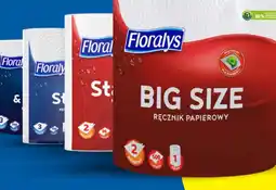 Lidl Floralys Ręcznik papierowy oferta