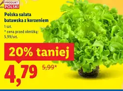 Lidl Polska sałata batawska oferta