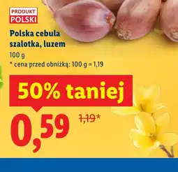 Lidl Polska cebula szalotka oferta