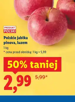 Lidl Polskie jabłka pinowa oferta