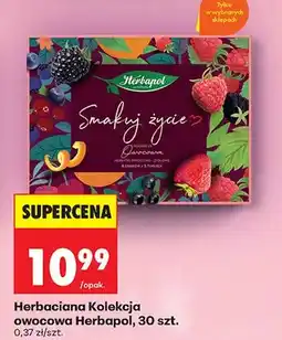 Biedronka Herbata kolekcja owocowa oferta