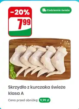 Dino Skrzydło z kurczaka świeże klasa A oferta