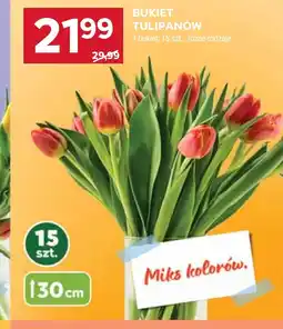 Stokrotka Bukiet tulipanów oferta