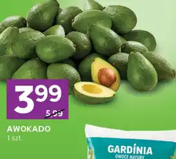 Stokrotka Express Awokado Gardinia oferta