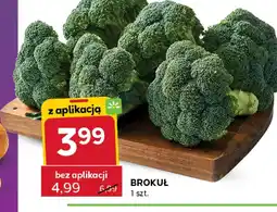 Stokrotka Express Brokuł oferta