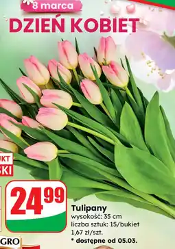 Dino Bukiet Tulipany oferta