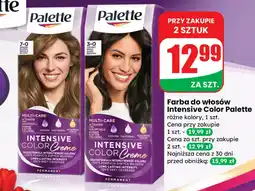 Dino Farba do włosów Palette oferta