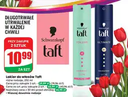 Dino Lakier do włosów Schwarzkopf oferta