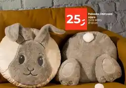 Dealz Poduszka oferta