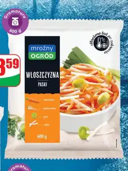 Dino Włoszczyzna paski oferta