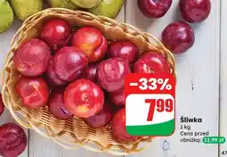 Dino Śliwka na wagę oferta