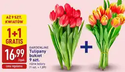 ALDI Tulipany bukiet 9 szt. (różne kolory) oferta