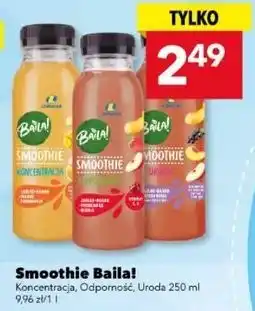 Lewiatan Smoothie Baila! Koncentracja, Odporność, Uroda oferta