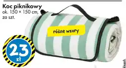 Tedi Koc piknikowy oferta