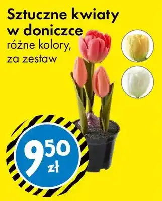 Tedi Sztuczne kwiaty w doniczce oferta
