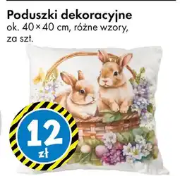 Tedi Poduszki dekoracyjne oferta