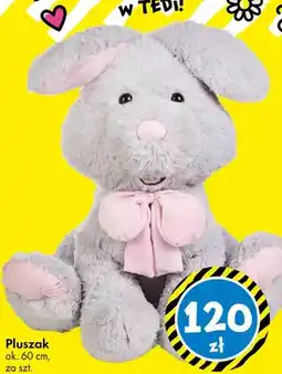 Tedi Pluszak ok. 60cm oferta