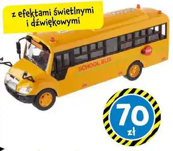 Tedi Autobus szkolny oferta