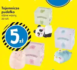 Tedi Tajemnicze pudełko różne wzory oferta