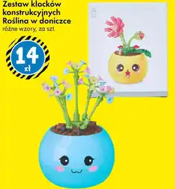 Tedi Zestaw klocków konstrukcyjnych Roślina w doniczce różne wzory oferta