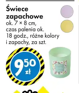 Tedi Świece zapachowe ok. 7 × 8 cm, czas palenia ok. 18 godz., różne kolory i zapachy oferta