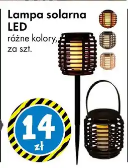Tedi Lampa solarna LED różne kolory oferta