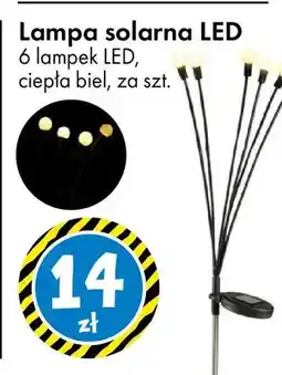 Tedi Lampa solarna LED 6 lampek LED ciepła biel oferta